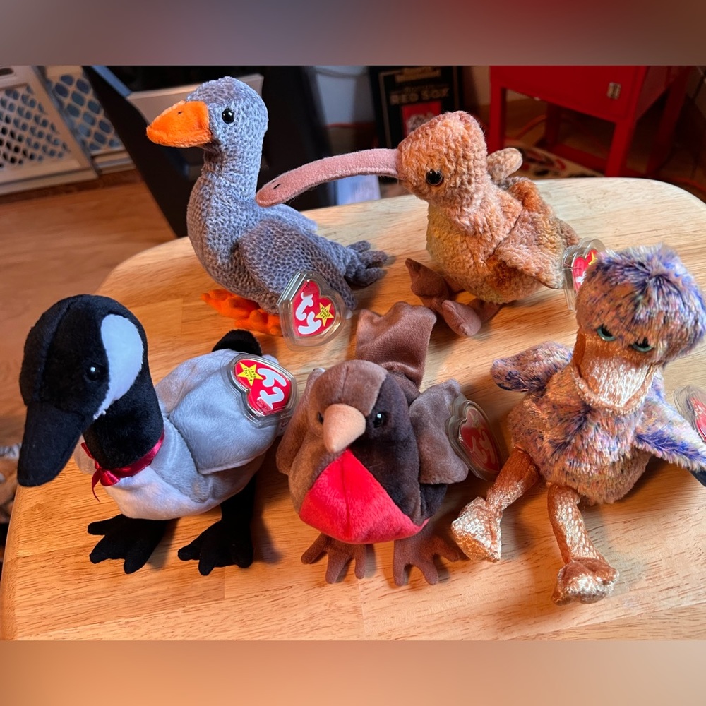 TY Beanie Babies Bundle of Birds (5)